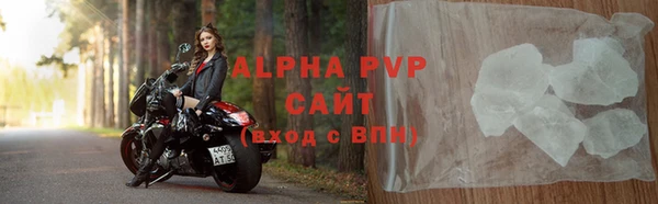 стафф Алексин