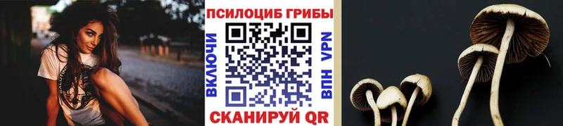 дарнет шоп мориарти состав Галлюциногенные грибы мухоморы Болгар ОМГ ОМГ онион